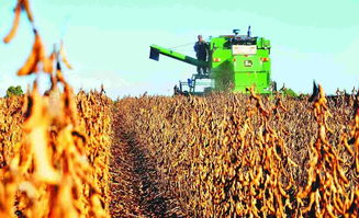 國家大豆產(chǎn)業(yè)技術(shù)體系首席科學(xué)家韓天富 大豆種業(yè)挑戰(zhàn)與機(jī)遇并存