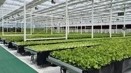 文山州這里現代農業種業產業園建設項目