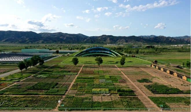 蒙草生態(tài)上市十周年:種業(yè)為本、科研當(dāng)先