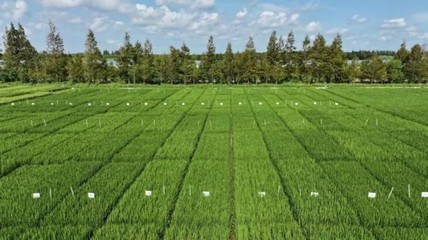 光明農(nóng)發(fā)集團(tuán)聚焦種業(yè)創(chuàng)新,打造長(zhǎng)三角未來種業(yè)發(fā)展策源地