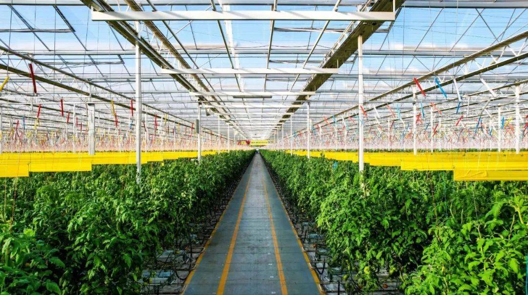 政策導向|首提1.4萬億斤糧食產量新目標,有何依據(jù),如何實現(xiàn)?_農業(yè)_生