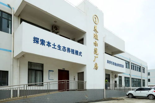 文昌馮家灣現代化漁業產業園 打造水產種業硅谷，讓水產住進“別墅”